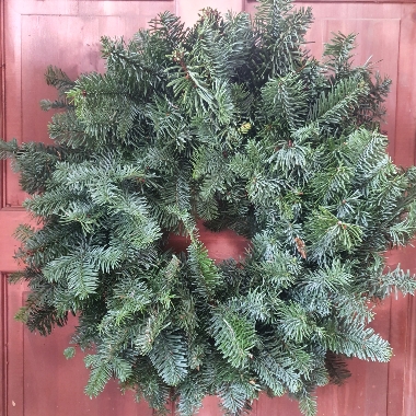 Fresh Wreaths