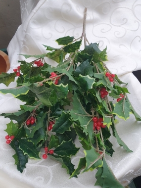 holly bush + berries