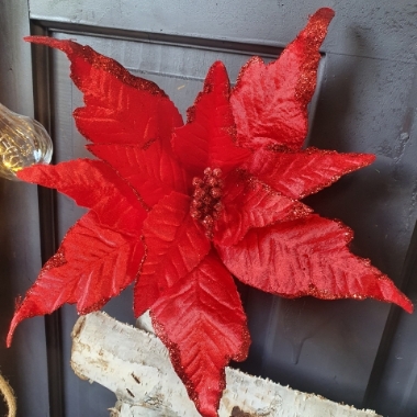 velvet red poinsettia 30cm